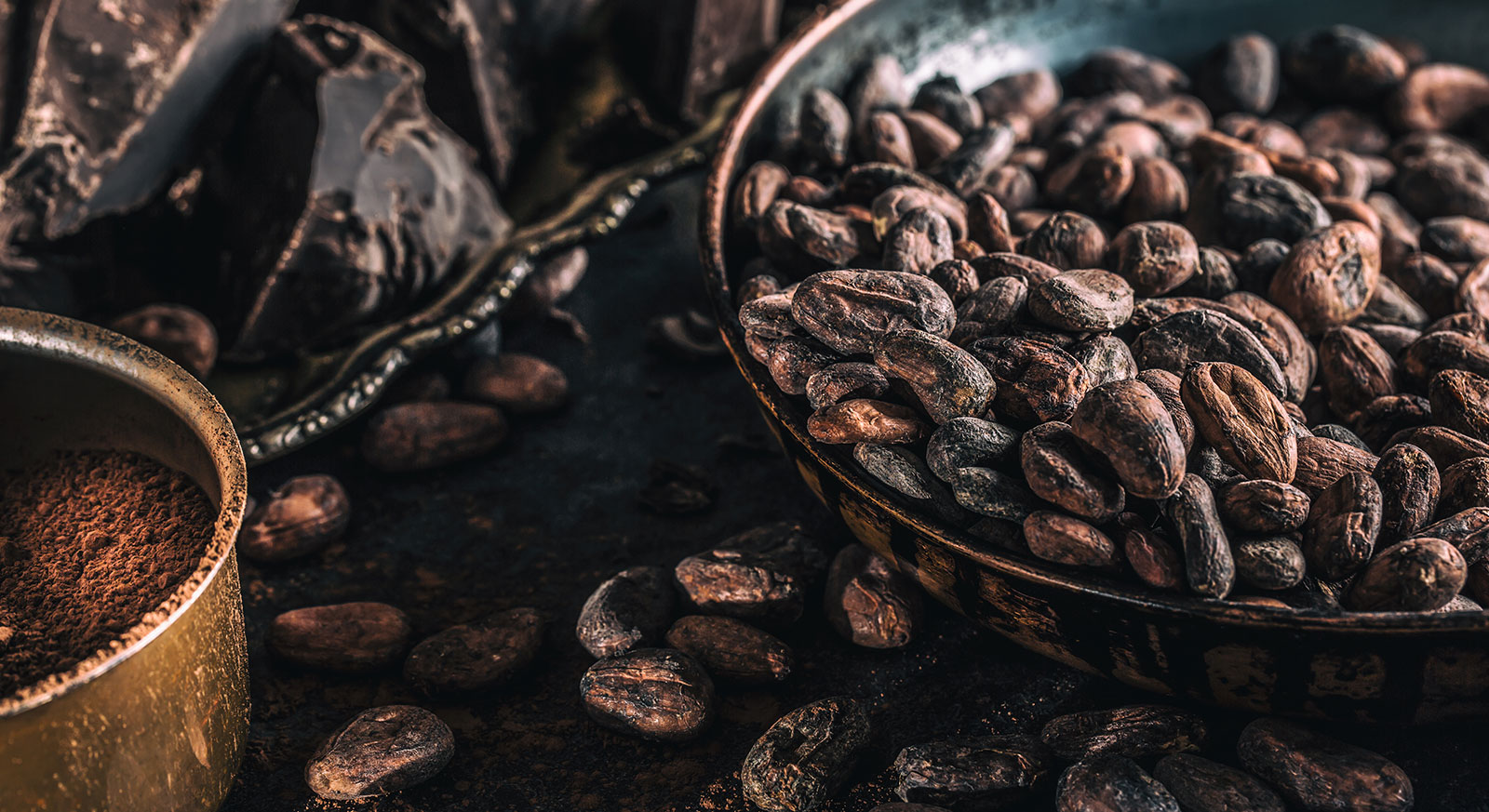 Ezta Agro | Natural, Safe and Healthy Cocoa Products & Gluten-Free Products