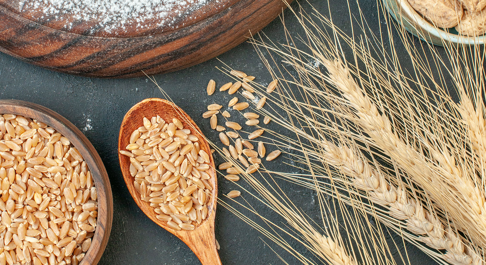 Ezta Agro | Natural, Safe and Healthy Cocoa Products & Gluten-Free Products