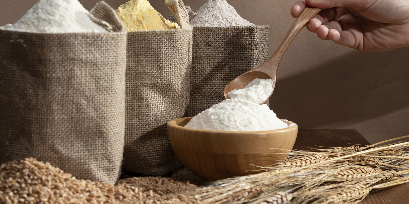 Ezta Agro | Natural, Safe and Healthy Cocoa Products & Gluten-Free Products