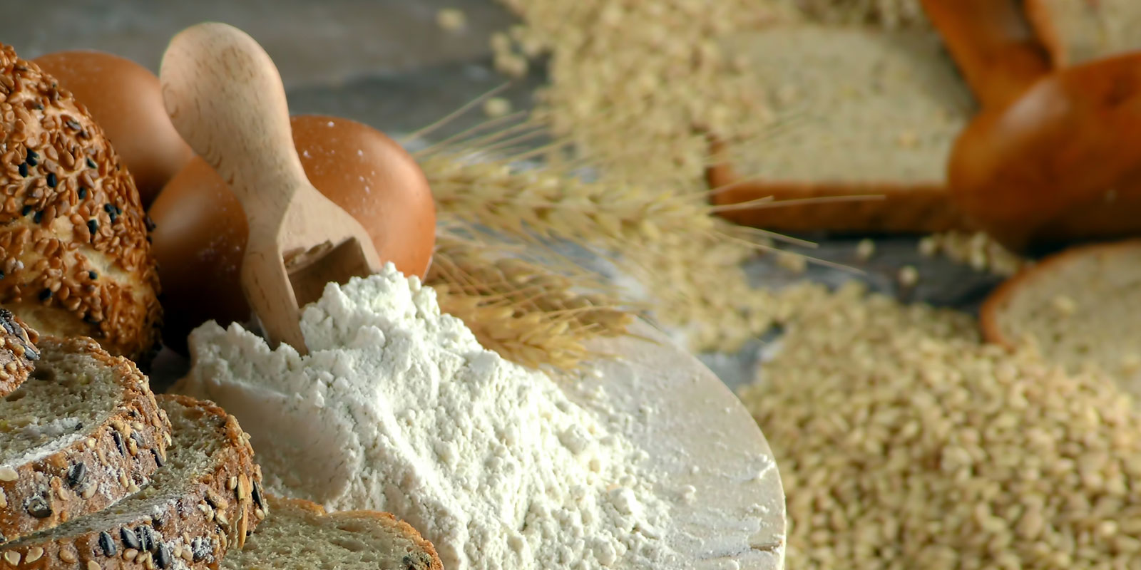 Ezta Agro | Natural, Safe and Healthy Cocoa Products & Gluten-Free Products