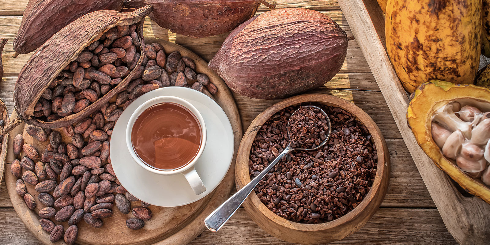 Ezta Agro | Natural, Safe and Healthy Cocoa Products & Gluten-Free Products